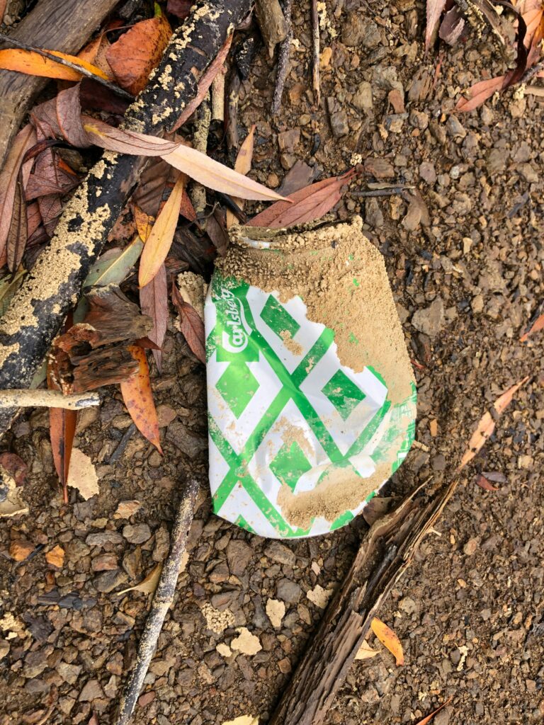 Crusty, crushed beer can lying among dirt, fallen branches, and dead leaves.