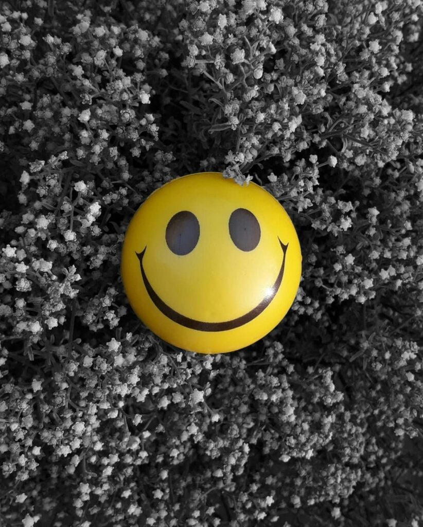 A yellow smiley face resting on a bed of black and white flowers.