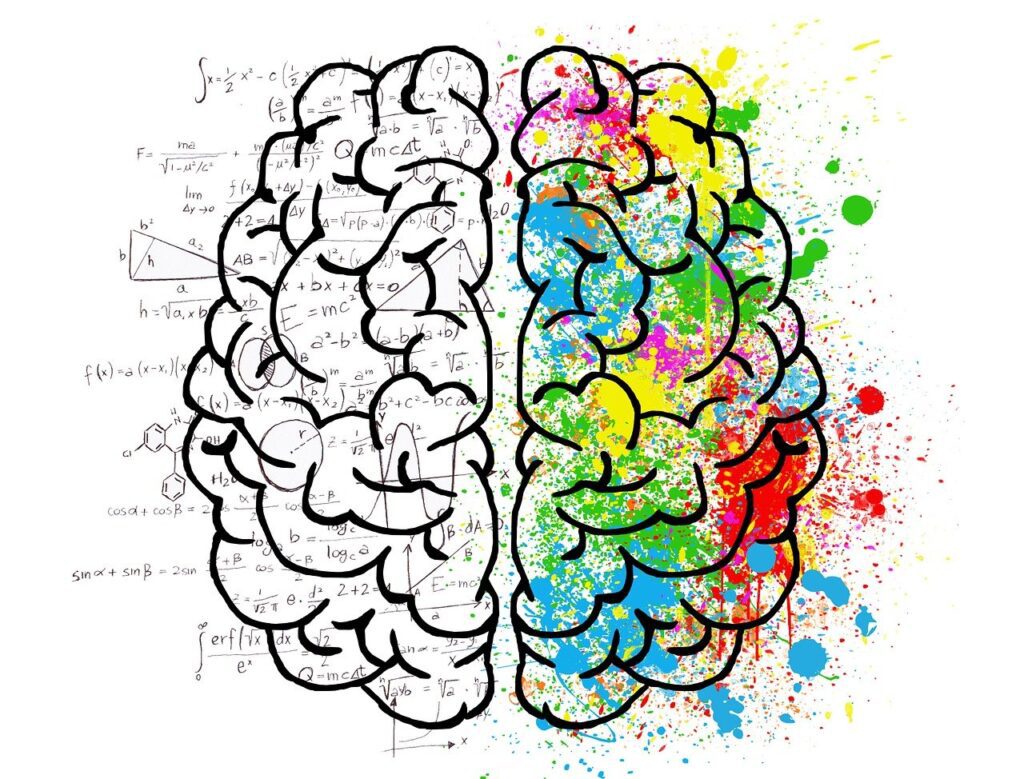 Graphic of a brain. The left has math equations across it, while the right has bright paint splashes.