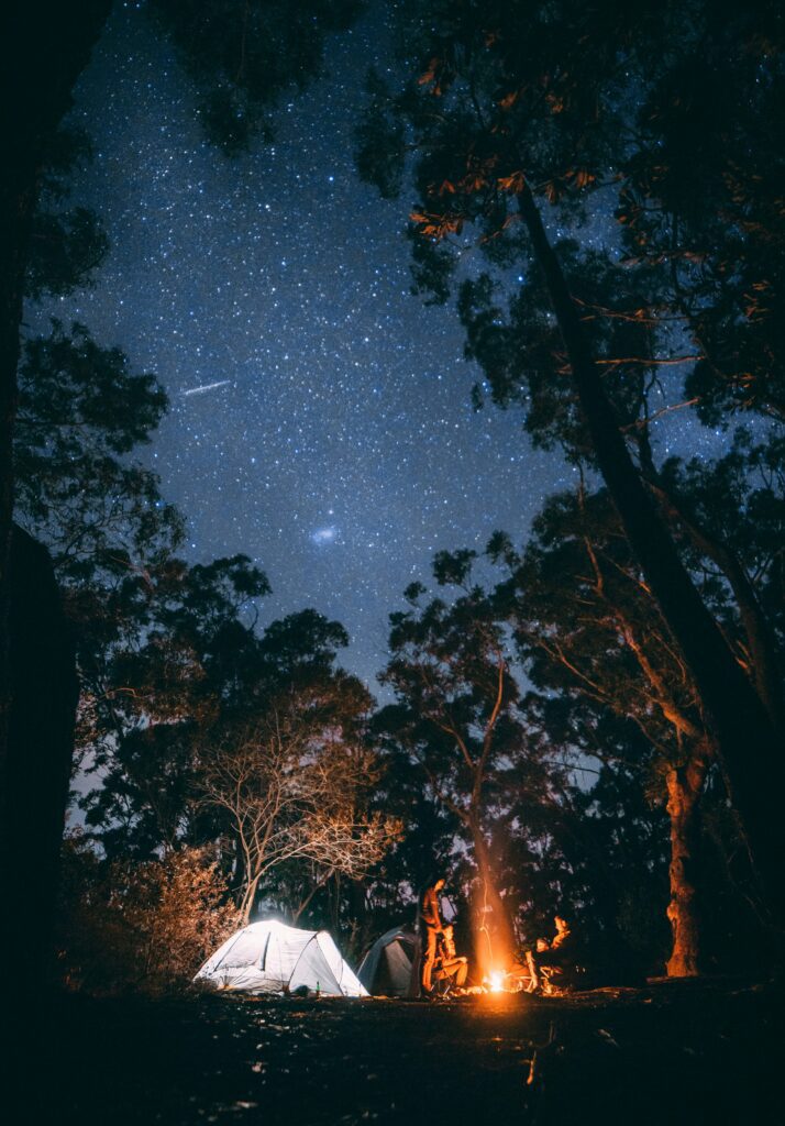 An image of a campsite surrounded by trees, with the stars shining above. 