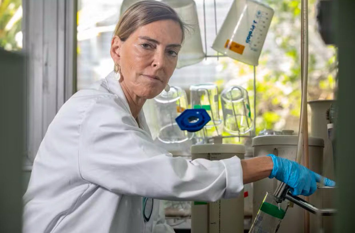 Brazilian public university makes breakthrough that could reverse spinal cord injuries