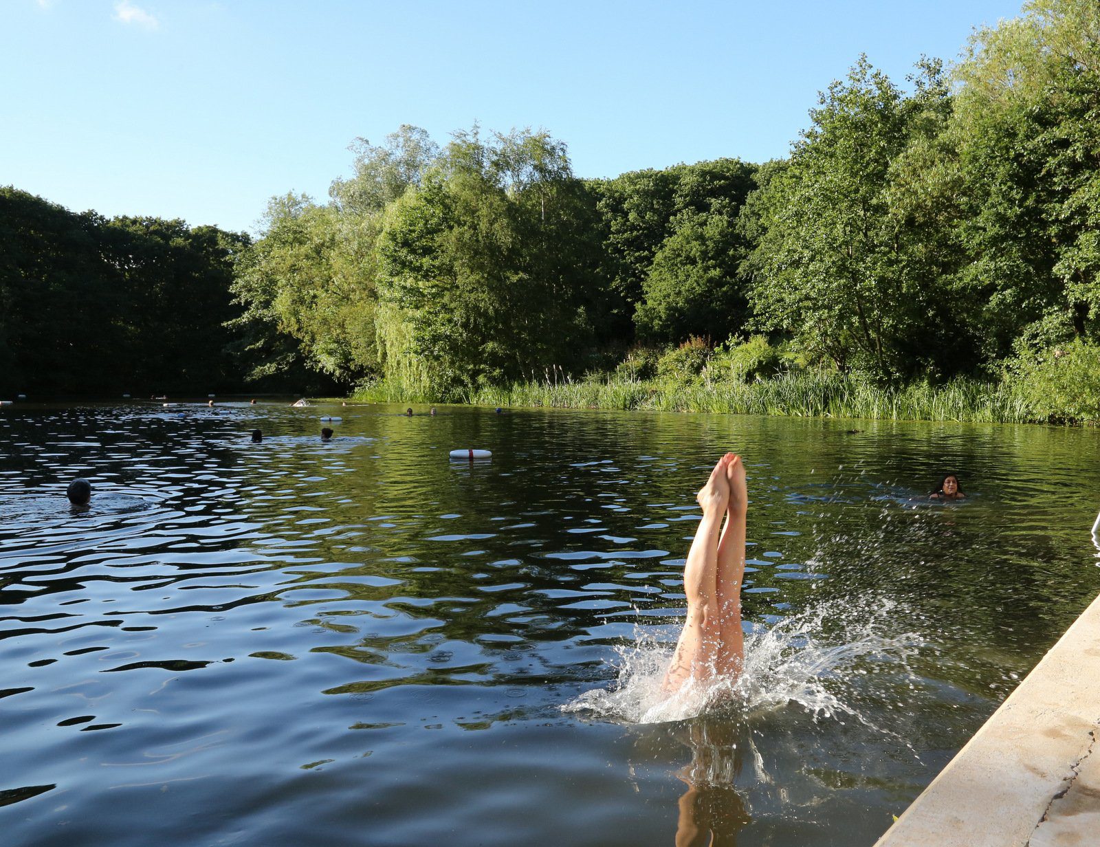 Transgender row disturbs open-water swimmers