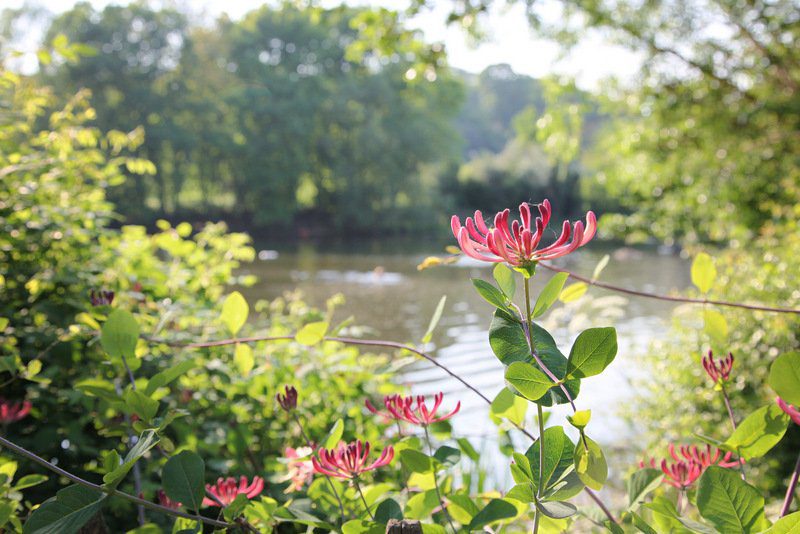 Kenwood Ladies’ Pond