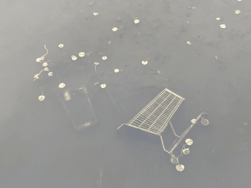 A grocery cart lies on its side underwater, surrounded by lily pads and murky water.