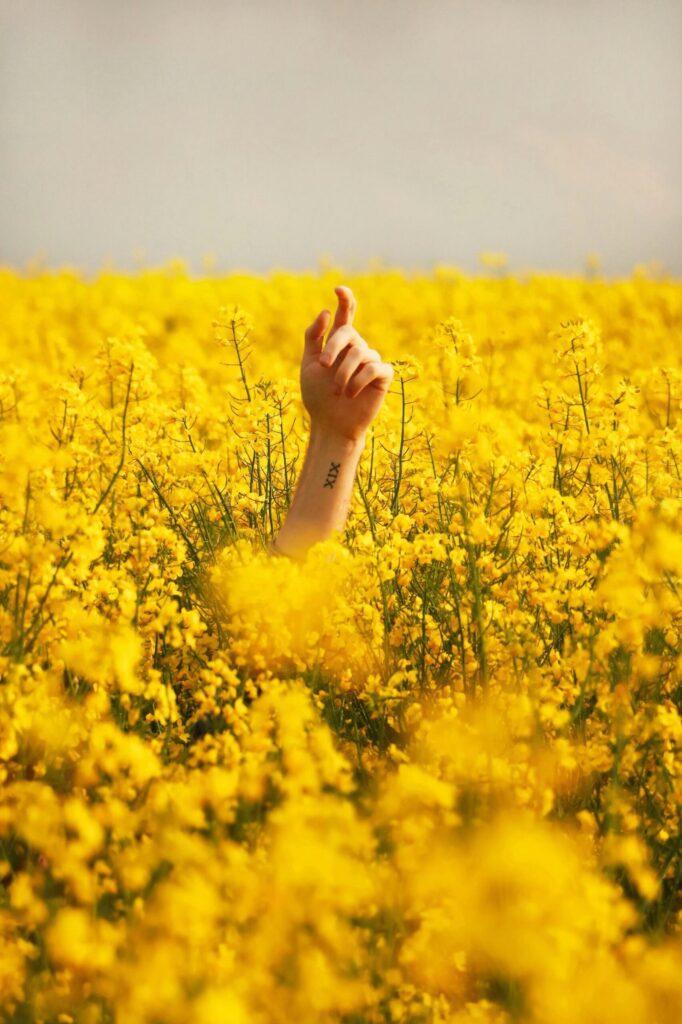 A tattooed arm rises from a field of golden flowers, reaching towards the sky, fingers extended.