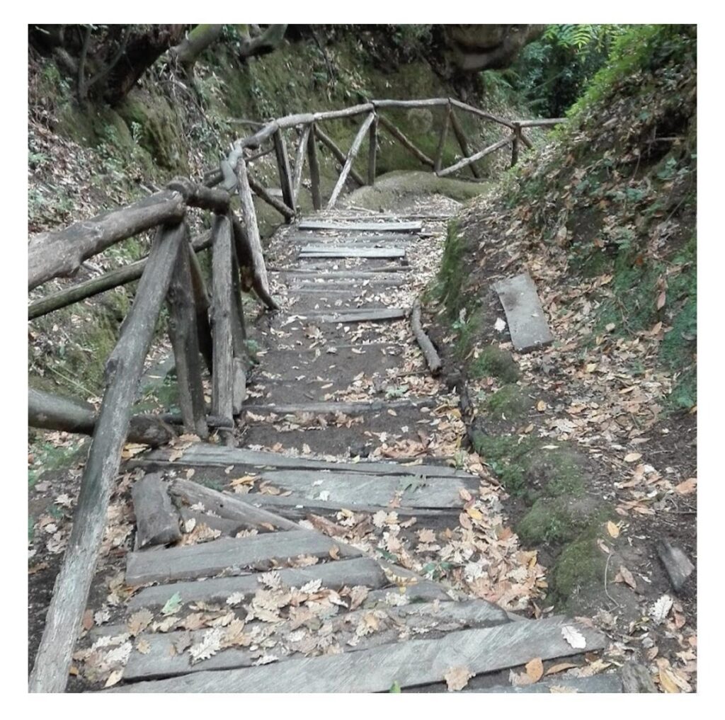An old bridge near the site. 