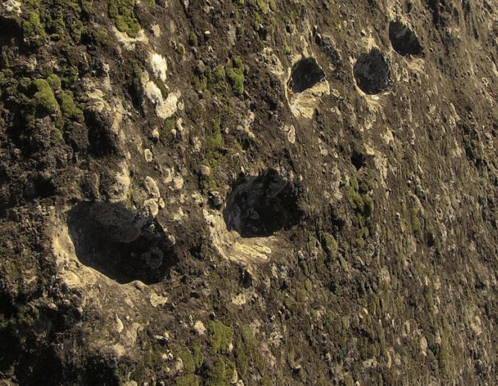 A close-up photo of the footprints.