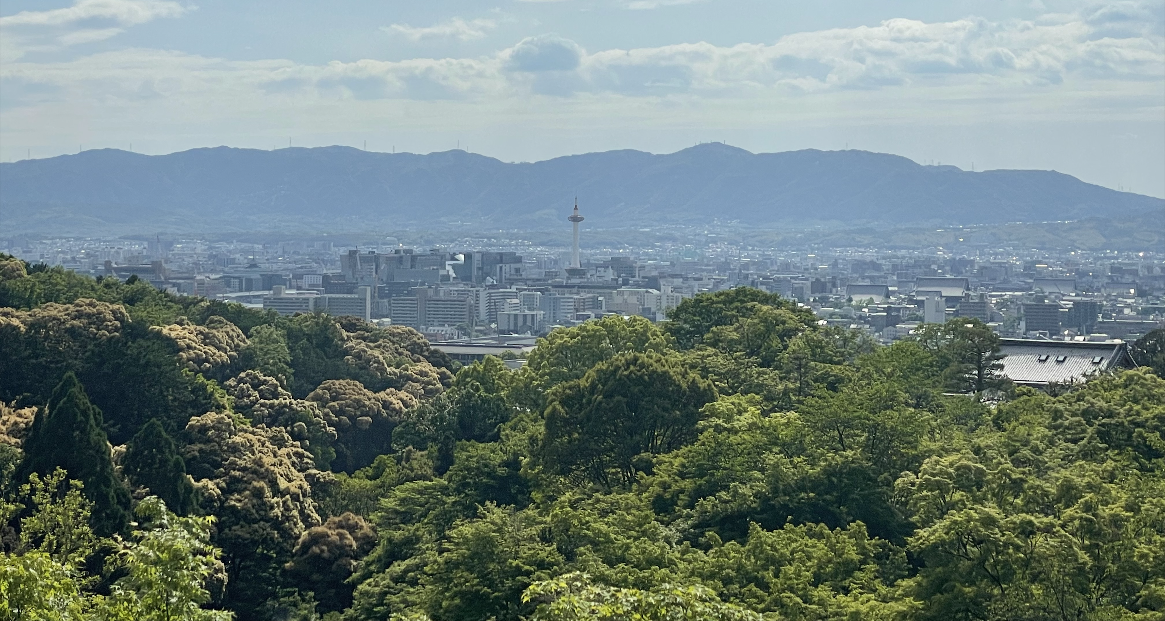 A Hāfu in Japan