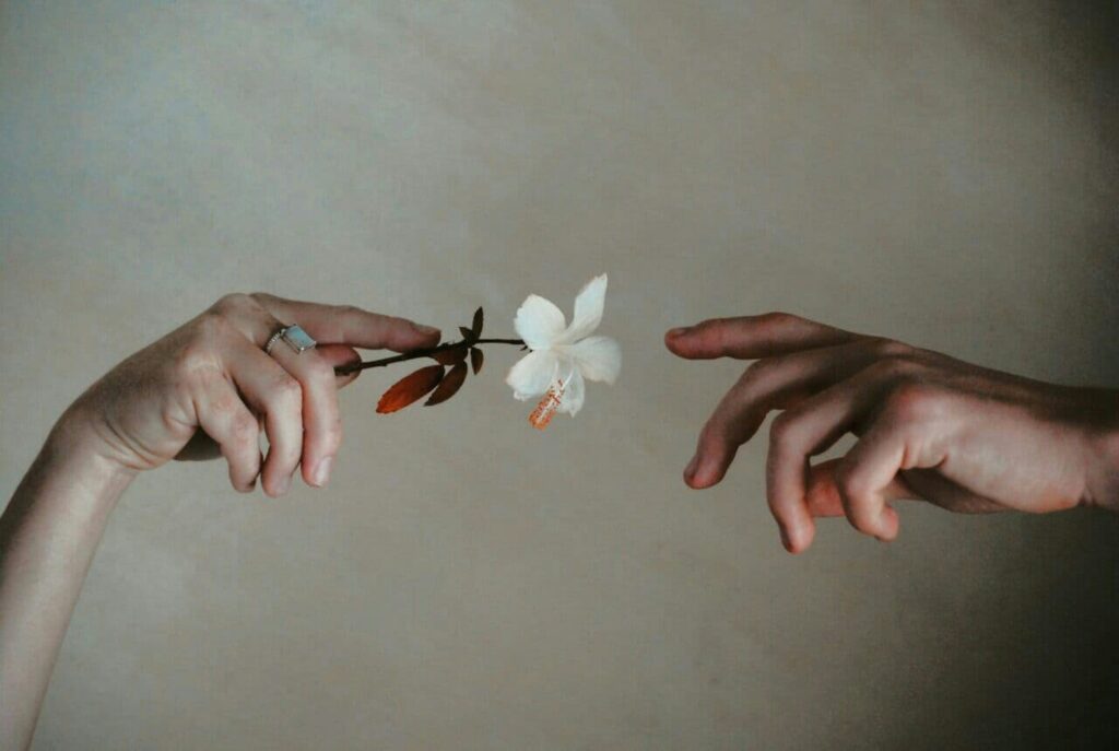 Image of two hands reaching toward each other. The hand on the left holds a white flower as if to give it to the hand on the right.