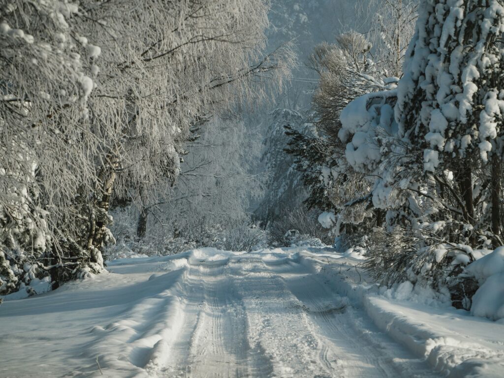 A barren country road, covered with snow and bracketed by trees. 