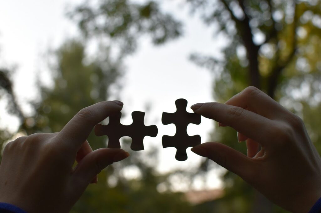 Image of a person holding two puzzle pieces in their hands. One piece is in their left, and the other is in their right. They’re holding the two pieces up to the sky, close together as though they’ll interlock the two pieces. In the background, trees loom in front of a grey sky.