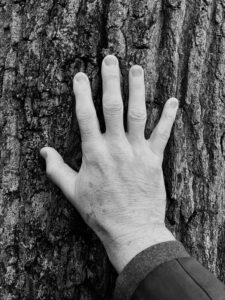 A man’s hand, with some wrinkles and age spots, fingers outstretched, lays against a tree trunk in this grayscale photograph.