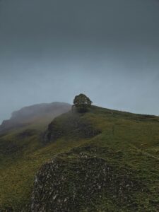 A lone tree sits on a rocky, grassy hill on a cloudy morning.