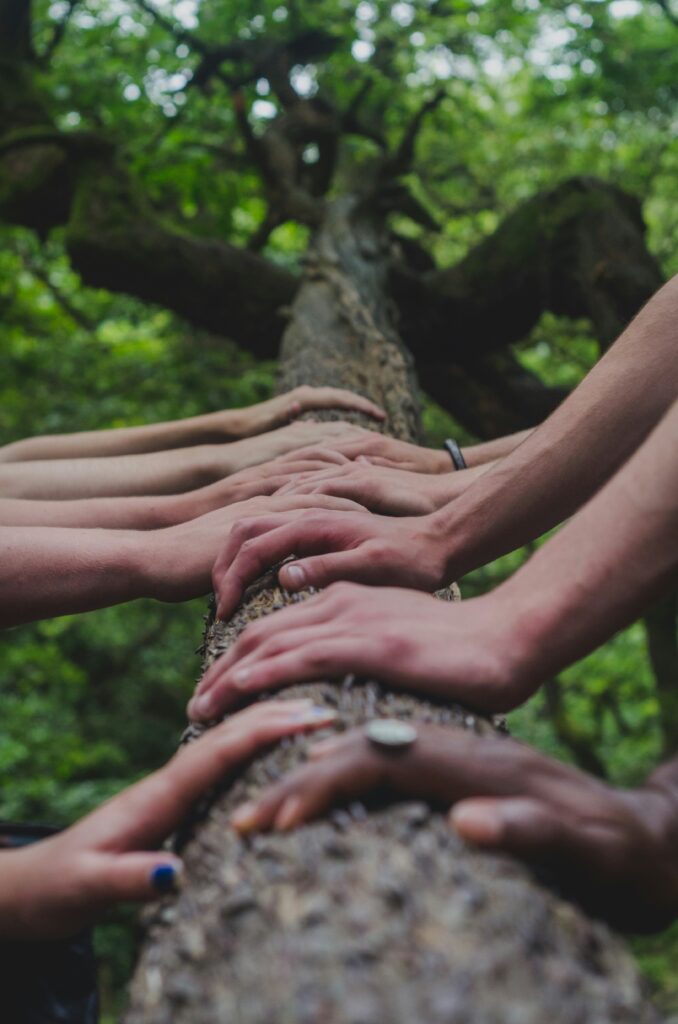 Hands of various people lined up along a log. 