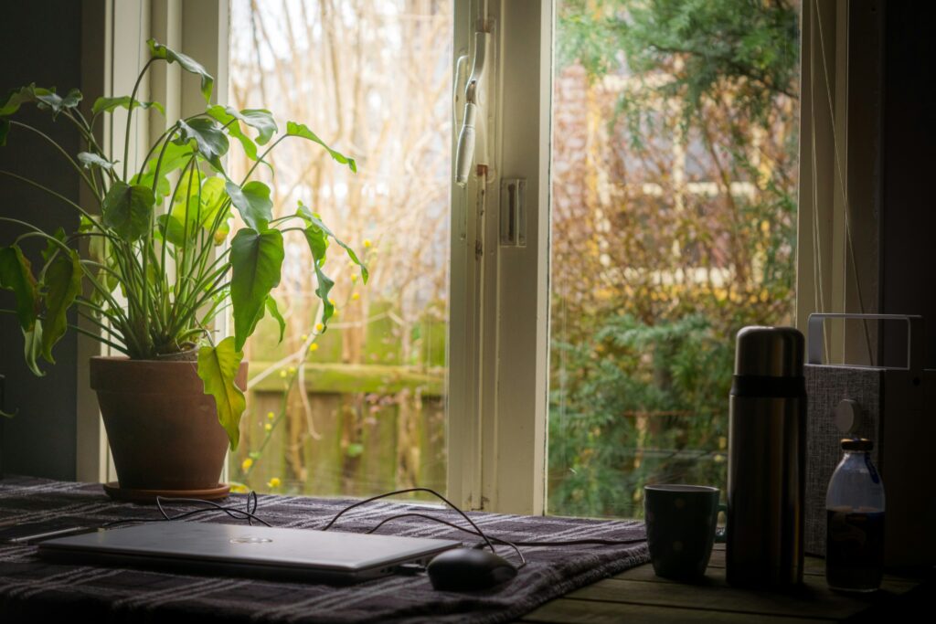 A laptop on a table, next to a potted plant. 