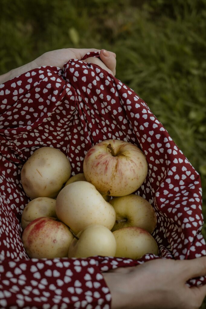 A person in a red dress, decorated in white hearts, cradles freshly picked apples in their skirt. The fruits are plump and look delicious.
