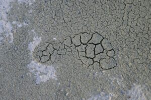 A footprint of grey, dry, cracked earth stands in sharp relief against surrounding grey, dry, cracked earth.