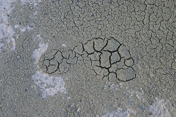 A footprint of grey, dry, cracked earth stands in sharp relief against surrounding grey, dry, cracked earth.