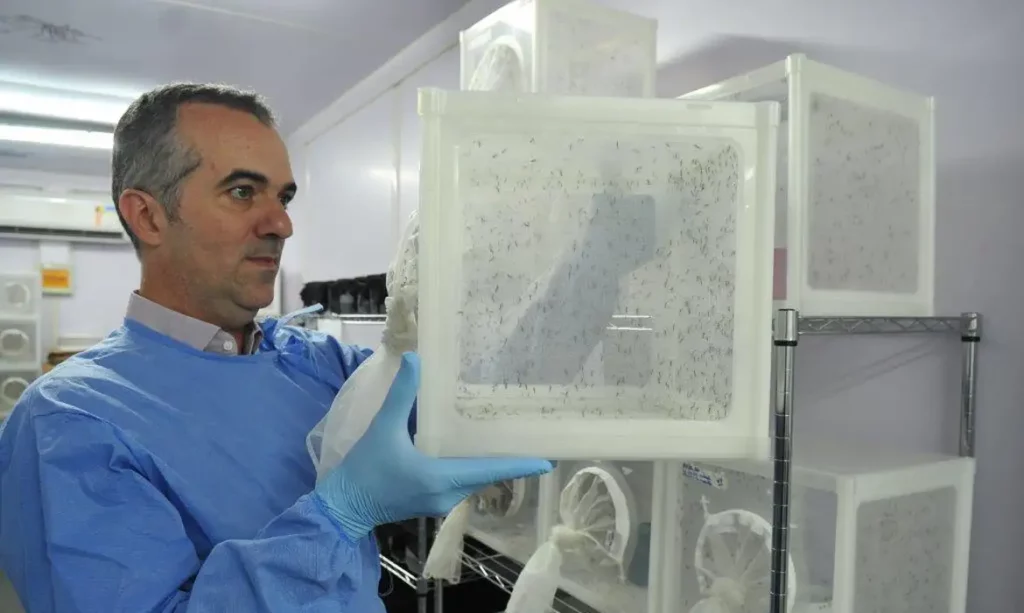 Luciano Moreira, a man wearing a blue lab gown and protective gloves hold a white mesh enclosure filled with numerous mosquitoes. He appears to be inside a laboratory, with additional stacked insect cages visible on metal shelves behind him.