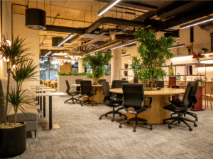 A co-working lounge with office desks and chairs and large plants