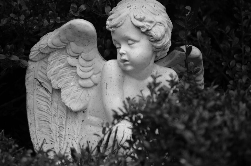 A grayscale photograph of a cherub angel statue hidden behind dark and dense shrubbery. His eyes are closed, and his mouth is open in a stone sigh.