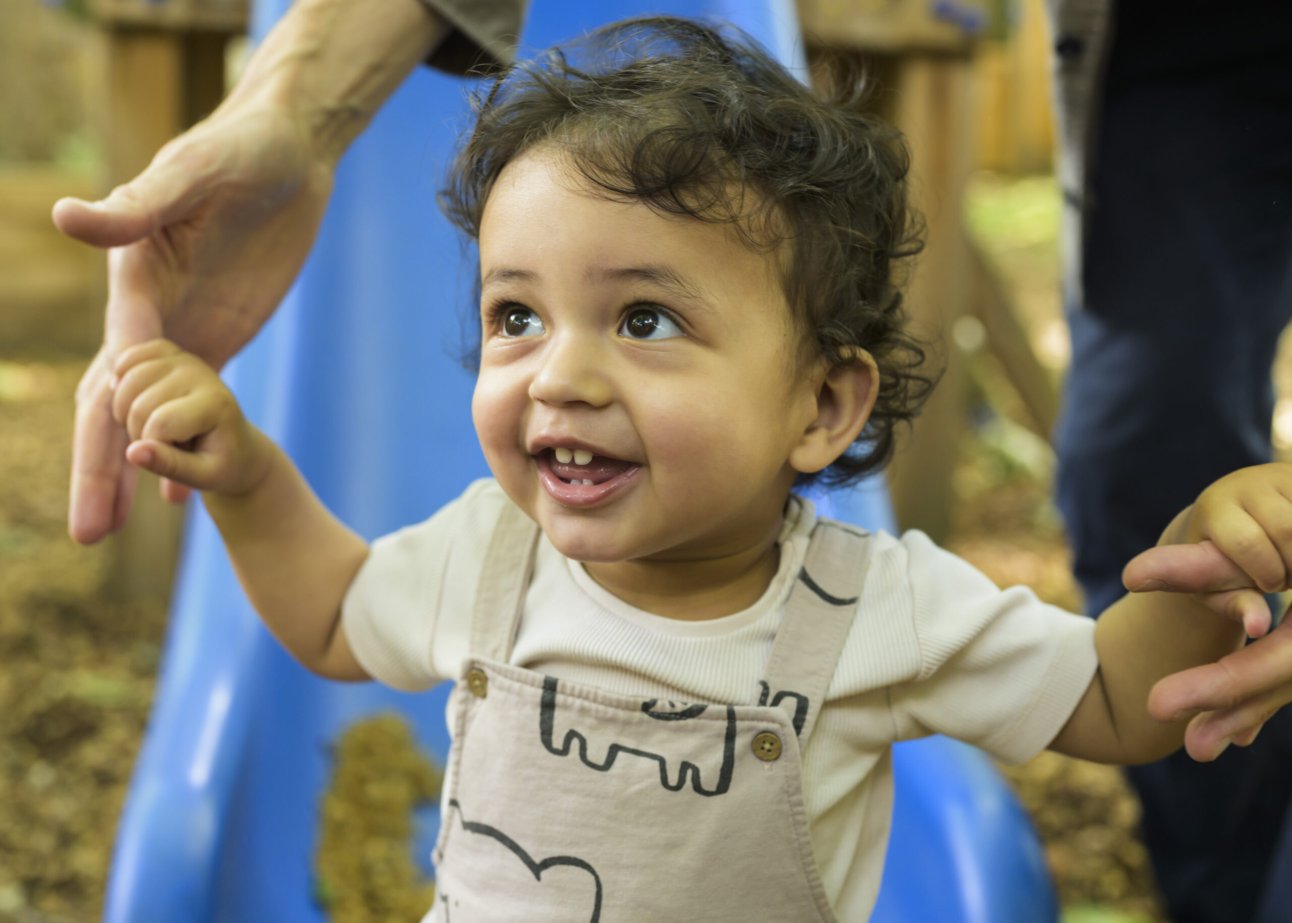 England’s toddlers looking for a home