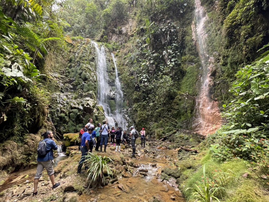 A group of people standing in front of two waterfalls in the forest.