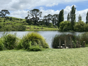 Hobbiton lake with rolling hills, trees, and bushes.