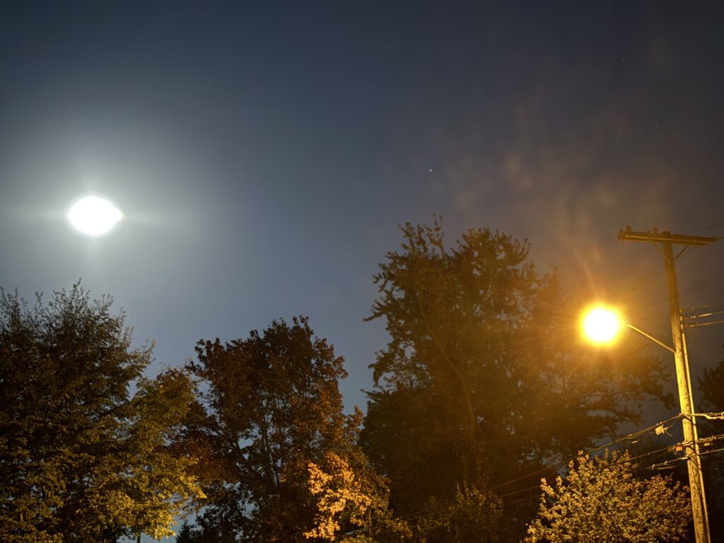 The moon sits, looking like a giant eye, high above trees, while miasma surrounds a lone golden streetlight.