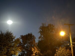 The moon sits, looking like a giant eye, high above trees, while miasma surrounds a lone golden streetlight.