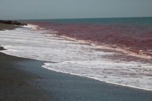 Hormoz Island, Iran.